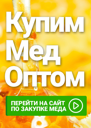 Закупка меда