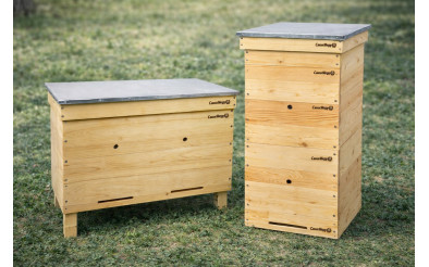 Які вулики краще для бджіл?