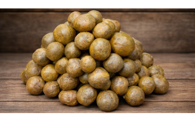 Що таке прополіс бджолиний