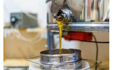 Найкращий час для викачування меду: що потрібно знати пасічникам