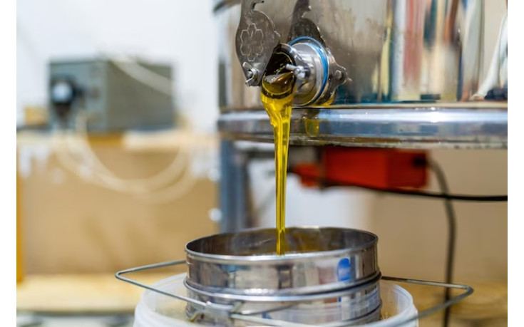 Найкращий час для викачування меду: що потрібно знати пасічникам