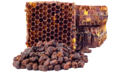 Українська технологія збору перги