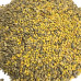 Донник желтый двухлетний, семена 1 кг