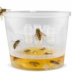 Ловушка для ос большая