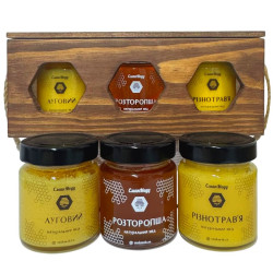 Подарочный набор меда "Энергия Дикого Поля" Луговой, Расторопша, Разнотравье 3*250 г = 750 г