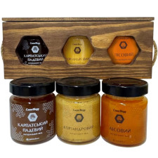 Подарунковий набір меду "Ексклюзив"  Карпатський Падевий, Коріандровий, Лісовий  3*250 г = 750 г