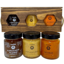 Подарочный набор меда "Эксклюзив" Карпатский Падевой, Кориандровый, Лесной 3*250 г = 750 г