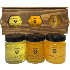 Подарунковий набір меду "Лагідний Нектар" Акація, Липа+М'ята, Буркун 3*250 г = 750 г