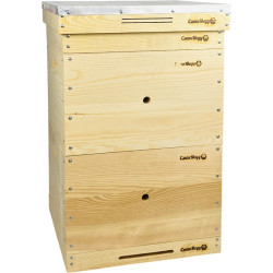 Улей Дадан 12 рамочный, 2 корпуса, 510x512x320 мм, сосна