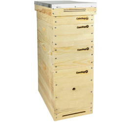 Улей 6 рамочный, 1 корпус Дадан 300 мм, 2 корпуса 145 мм