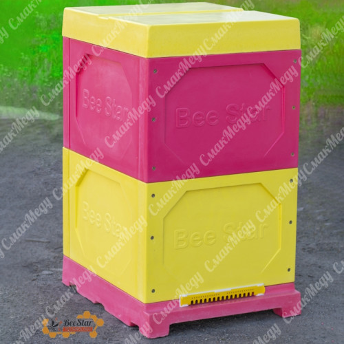 Улей 10 рамочный из пенополиуретана, 2 Корпуса, 300 мм (Дадан) цветной BeeStar