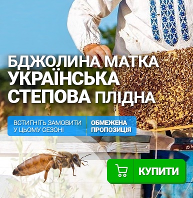 Бджолина матка Українська Степова, плідна
