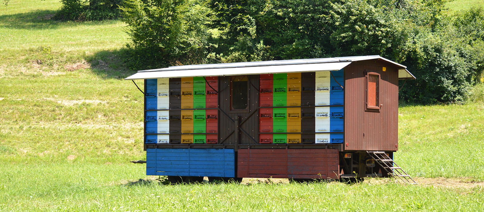 Бджільництво як дохід - Компанія Смак Меду